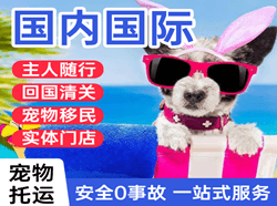十堰武当山机场货运国际宠物托运 【国